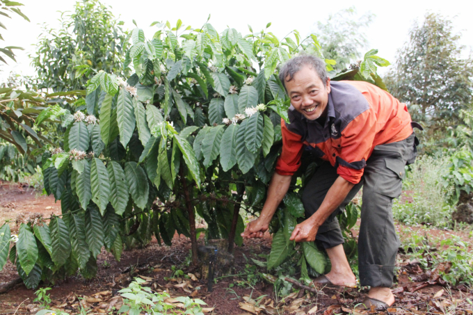 Multiple benefits from the VnSAT project's economical irrigation system
