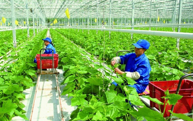 Once considered waste, now become ‘revenue’
