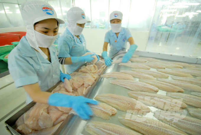 Pangasius recovering, seizes new export opportunities