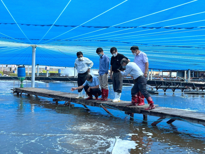 Promoting application of Semi-Biofloc shrimp farming technology