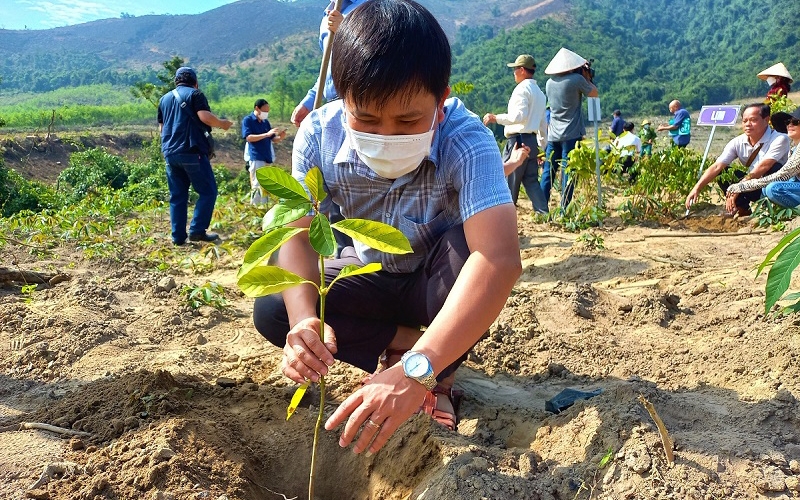 Quang Binh launches afforestation project at headwaters of Gianh River