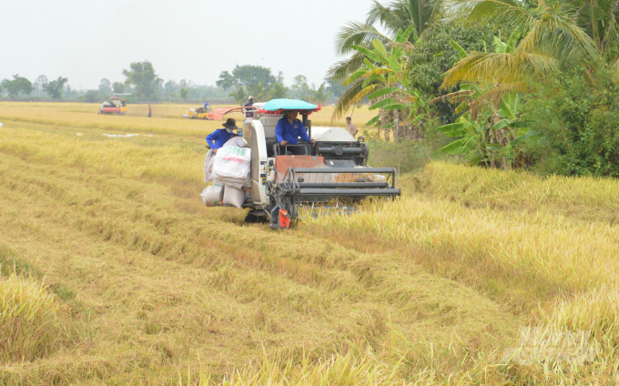 Saving billions thanks to “Big paddy” » Vietnam News - Latest Updates ...