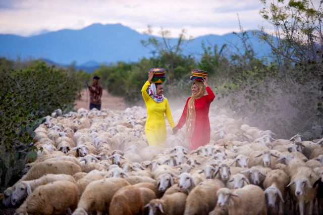 Photo contest honours ‘Land of Chăm culture’