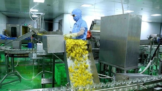 Huge potential for Vietnam-Malaysia trade cooperation: Expert