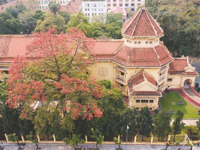 Special flower tour at History Museum