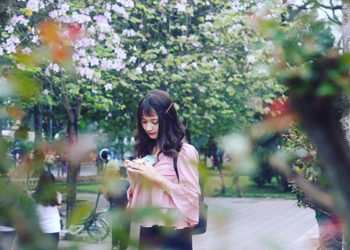 The beautiful flower streets in Hanoi are as romantic as Korea’s 