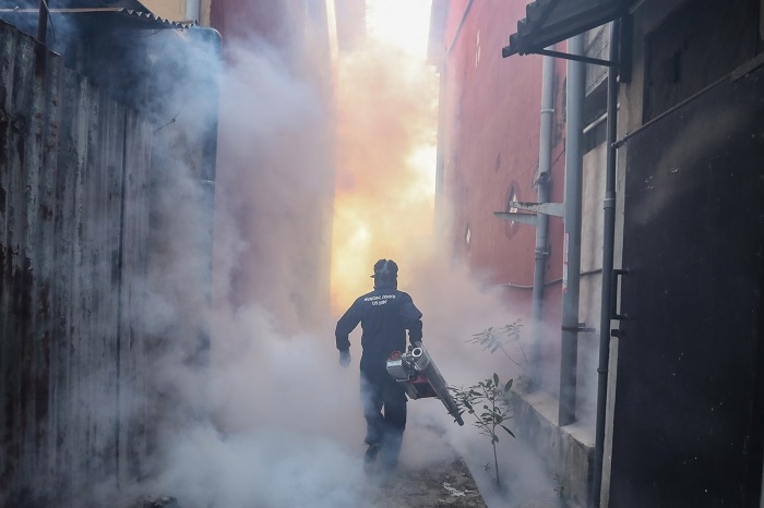COVID curbs linked to 750,000 fewer dengue fever cases in 2020 - study