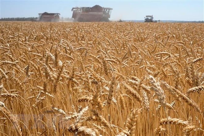 Global food security remains a major challenge