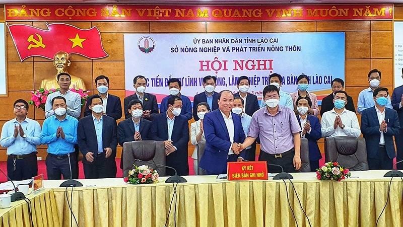 Lao Cai committed to accompanying investors in agricultural sector