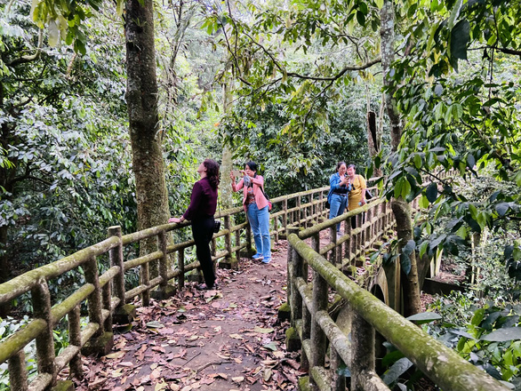 Cuc Phuong National Park: A perfect holiday getaway to immerse yourself in ‘butterfly forest’