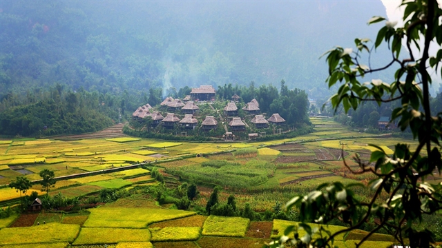 Discovering the tranquility of Pom Coọng Village in Mai Châu