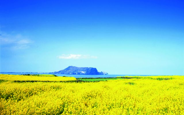 Korea Tourism Organisation opens painting contest for Vietnamese travellers