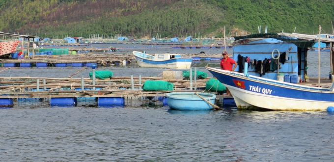 Cage aquaculture not adapt to natural disasters