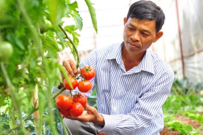 Digital transformation helps cooperatives follow development trend