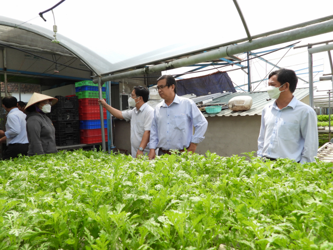 Farm Thermal’s story of improving vegetable growing technology ...