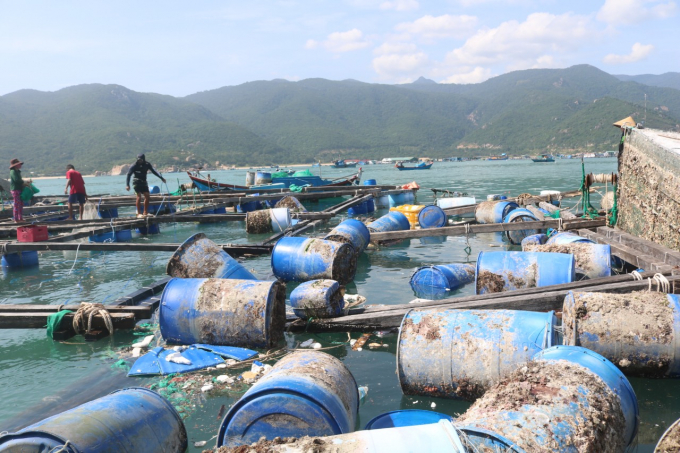 Marine farming in the face of climate change challenges