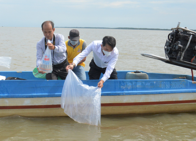 Mekong Delta: Releasing millions of fish seeds to the nature