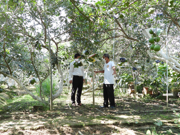 Mr. ‘Minh Pomelo’ and the passion for technology application