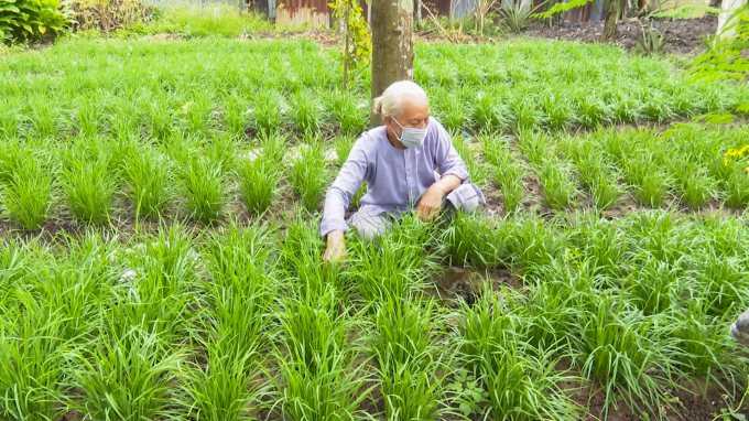 Positive change in the mindset to do ‘green agriculture’