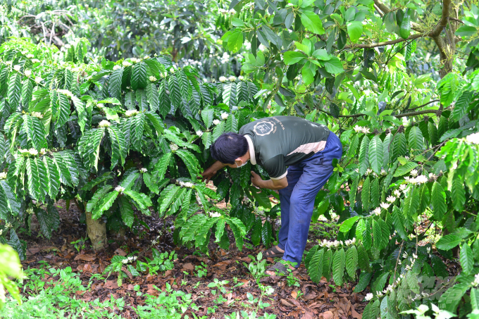 The ‘magic’ of self-composting