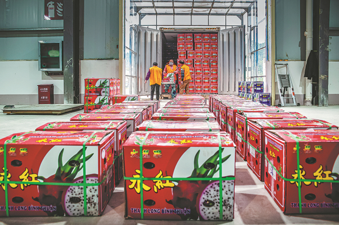 Vietnamese dragon fruit in China has not lost its attraction