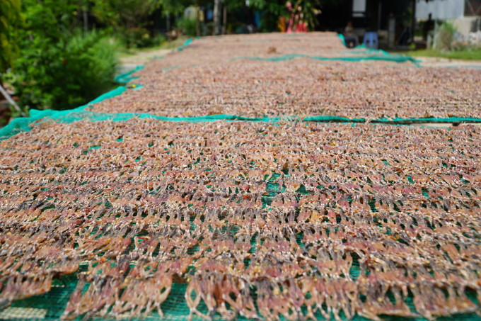 The dry season in Cam mountain