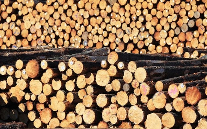 China to cut paper and wood tariffs from New Zealand from April 7