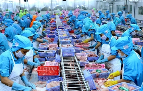 Agriculture sector witnesses larg trade surplus in Q1