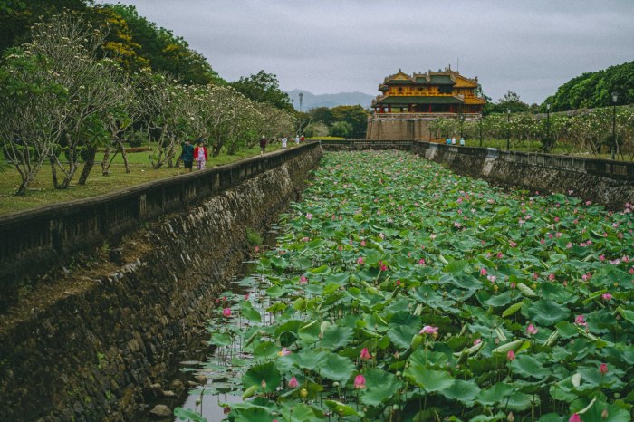 Be amazed at the beauty of the lotus ponds in Hue in season