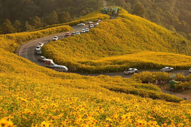 Central Highlands crater: Hình ảnh về các khu rừng trên đỉnh núi cao nguyên Trung phần, khu vực có địa hình đặc trưng với những miệng núi tràn đầy sức sống sẽ khiến bạn thấy kết nối đơn giản nhưng vô cùng đẹp mắt giữa sự khắc nghiệt của môi trường với sự sống.