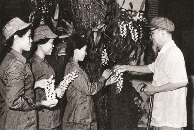 Hosting the Games: Phú Thọ Province, home to the country's classic orchid beauty