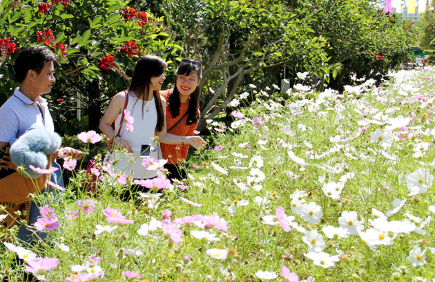 Lâm Đồng prepares for Đà Lạt Flower Festival