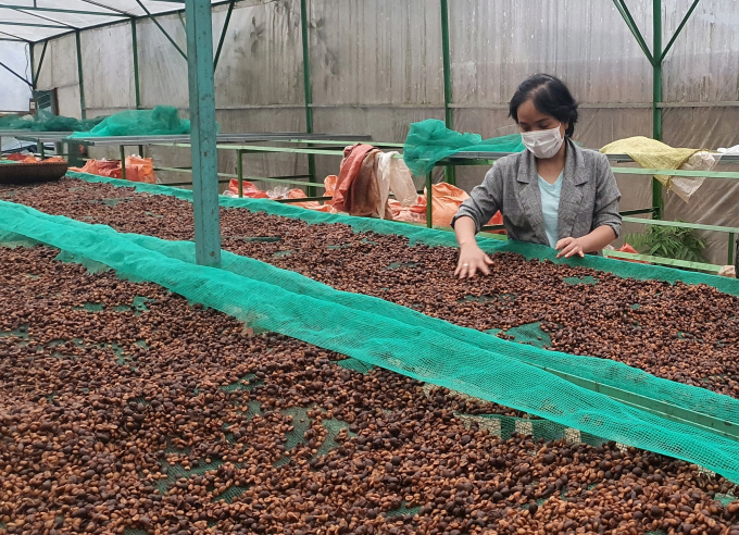 Arabica Khe Sanh coffee gradually captures the US market