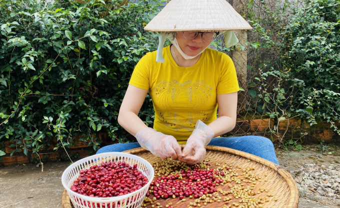 Coffee husk and flower tea - Central Highlands’ new essence