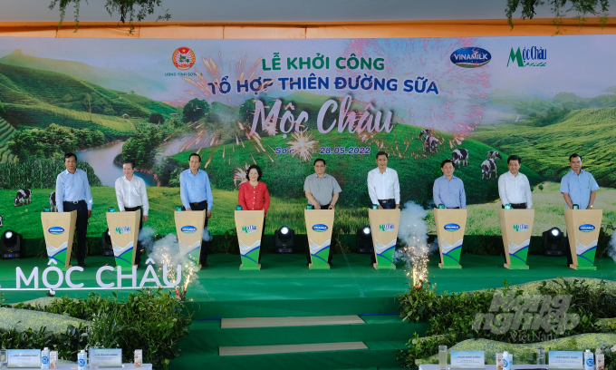 Commencing the project of “paradise” for 4,000 dairy cows in Son La