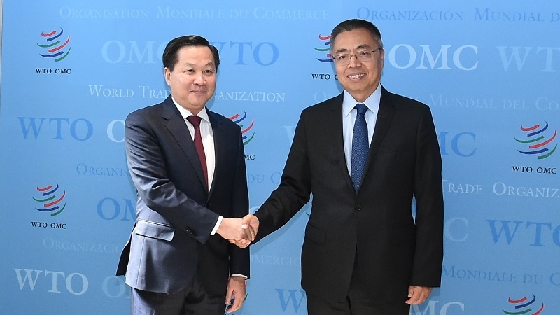 Deputy PM works with WTO deputy director-general in Geneva