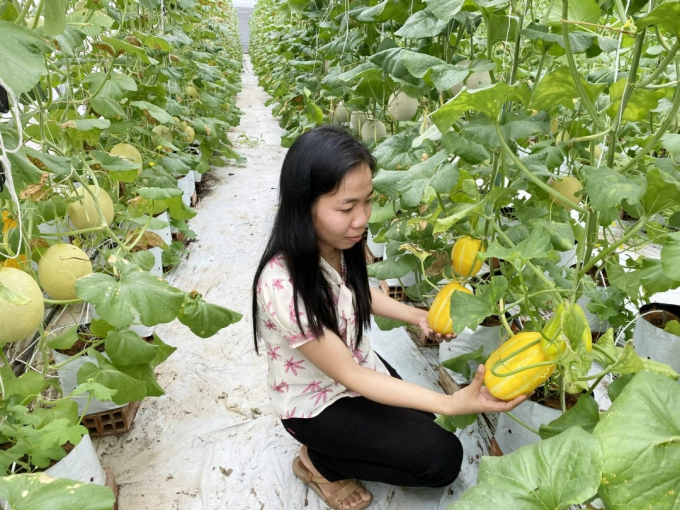 Developing hi-tech agriculture requires new approaches