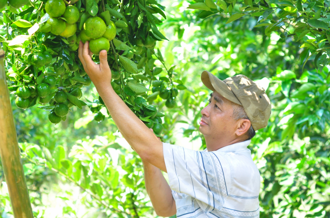 Elevating the strength of Central Highlands agriculture