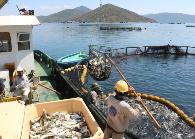 HDPE cage - an important piece for the sustainability of seaculture