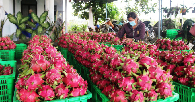 Indian businesses seek to export foods processed in Vietnam back to home country