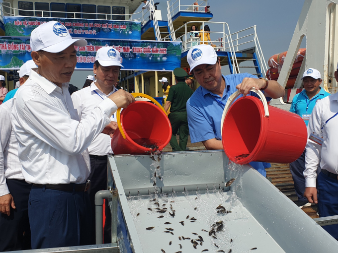Releasing fish fingerlings to regenerate the Gulf of Tonkin's aquatic resources