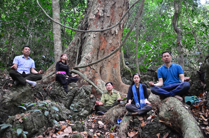 Rural tourism: Forest bathing in Na Hang to cure mental wounds