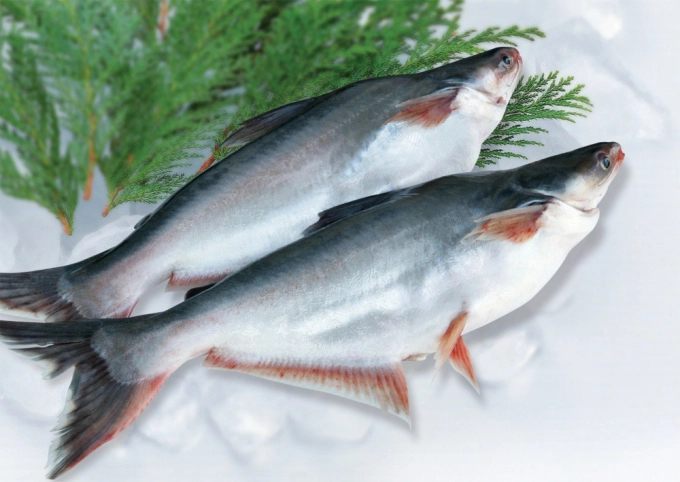 Shrimp and pangasius are in the US's top 10 most consumed seafood
