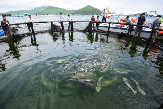 Strengthening blue economy through specific solutions