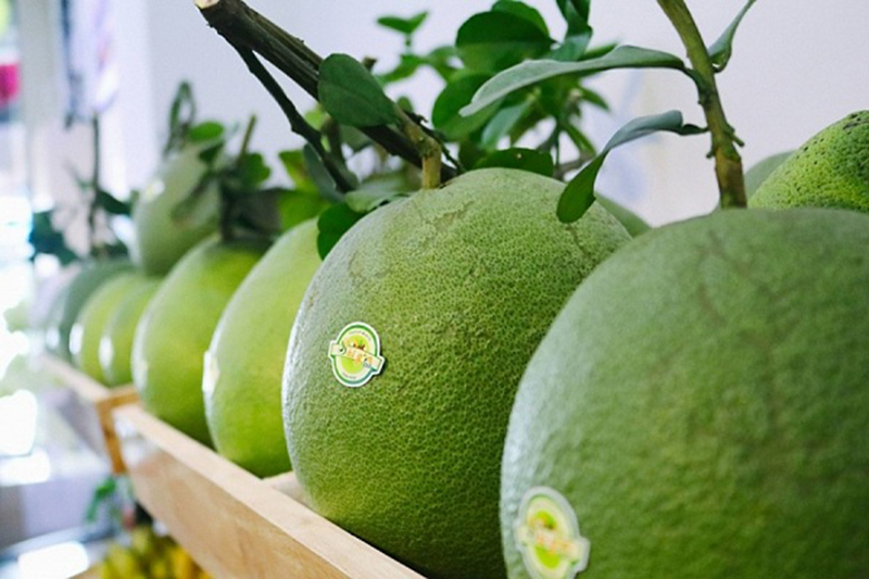 Vietnam-US agricultural cooperation for the benefits of the people and global environment