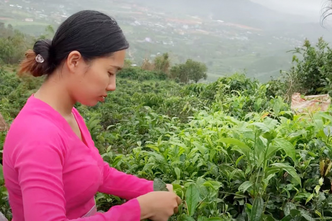 Vietnamese tea and coffee have potential to enter the Indian market