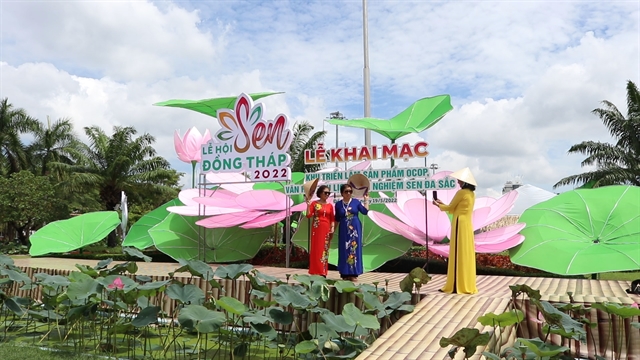 Đồng Tháp goes to town on its lotus specialty