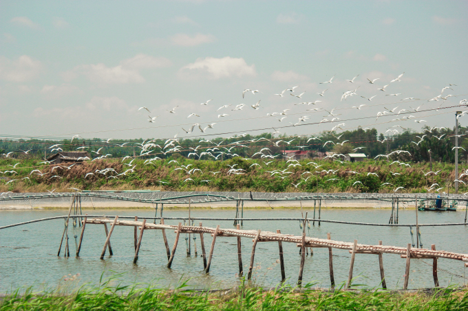 One day trip to Tan Phu Dong islet