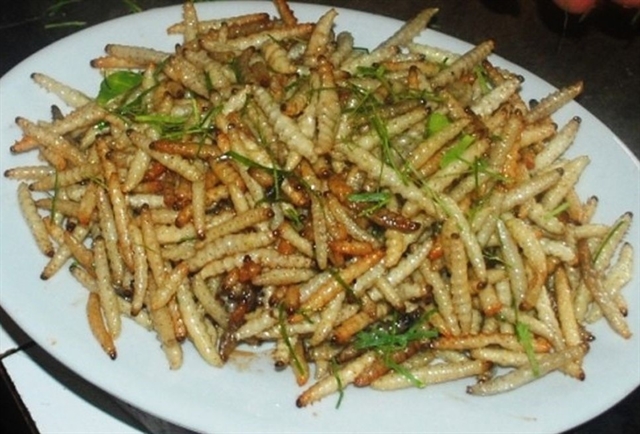 Try some typical Mường grub