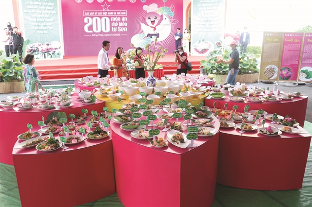 World Record awarded to Đồng Tháp Lotus Festival » Vietnam News ...